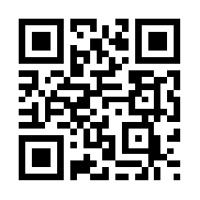 王者国度无限元宝版