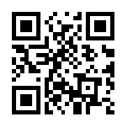 飞行闪击战破解版