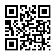 武器之王破解版