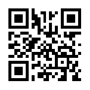 闪艺后宫宛真传完结破解版