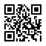 航空公司指挥官