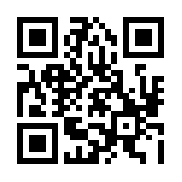 皇家骑士：300自走棋