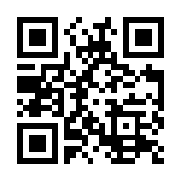 同人精忠报国岳飞传