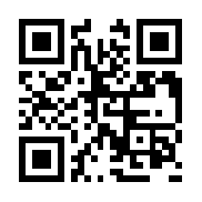 愤怒的小鸟变形金刚