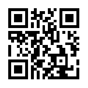 少年四大名捕挂机版