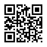 愤怒的小鸟（中文版）