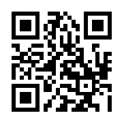 方块小猪大作战