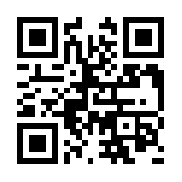 桥梁建筑师：特技