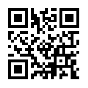 圣剑守护无限版