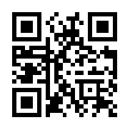 巨型汽车特技赛车